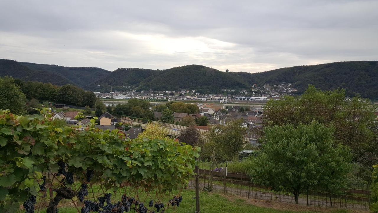 مبيت وإفطار Rheinbrohl Weinhaus Em Wingert المظهر الخارجي الصورة
